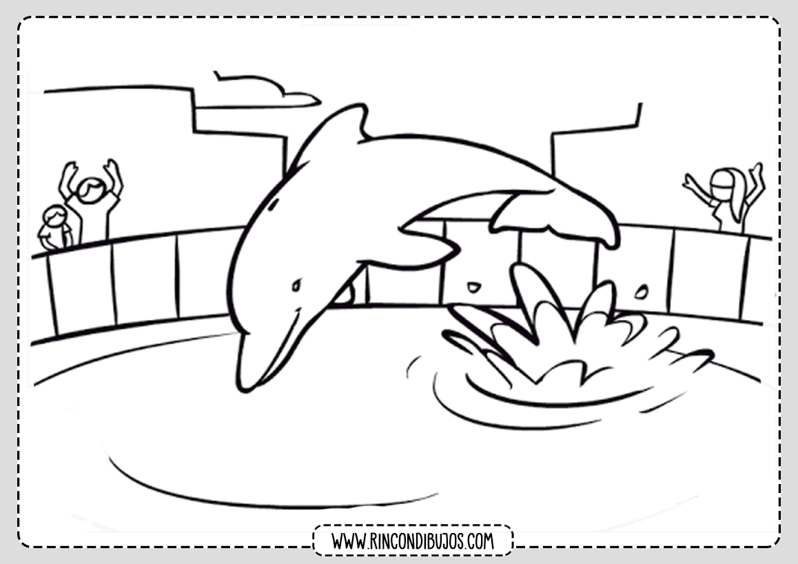 Dibujo Delfin Pintar