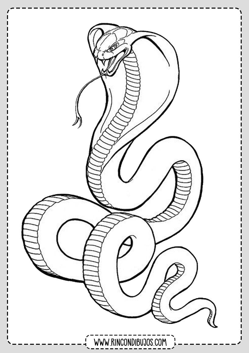Dibujo Serpiente Colorear