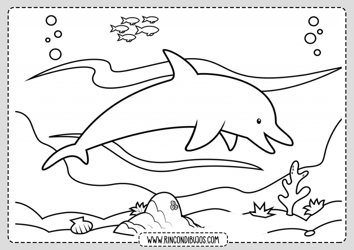 Dibujo de Delfin en el Mar para colorear
