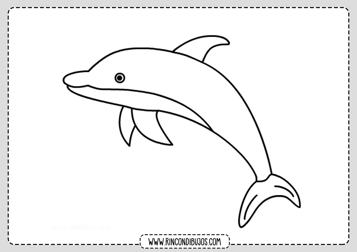 Dibujo de Delfin para colorear