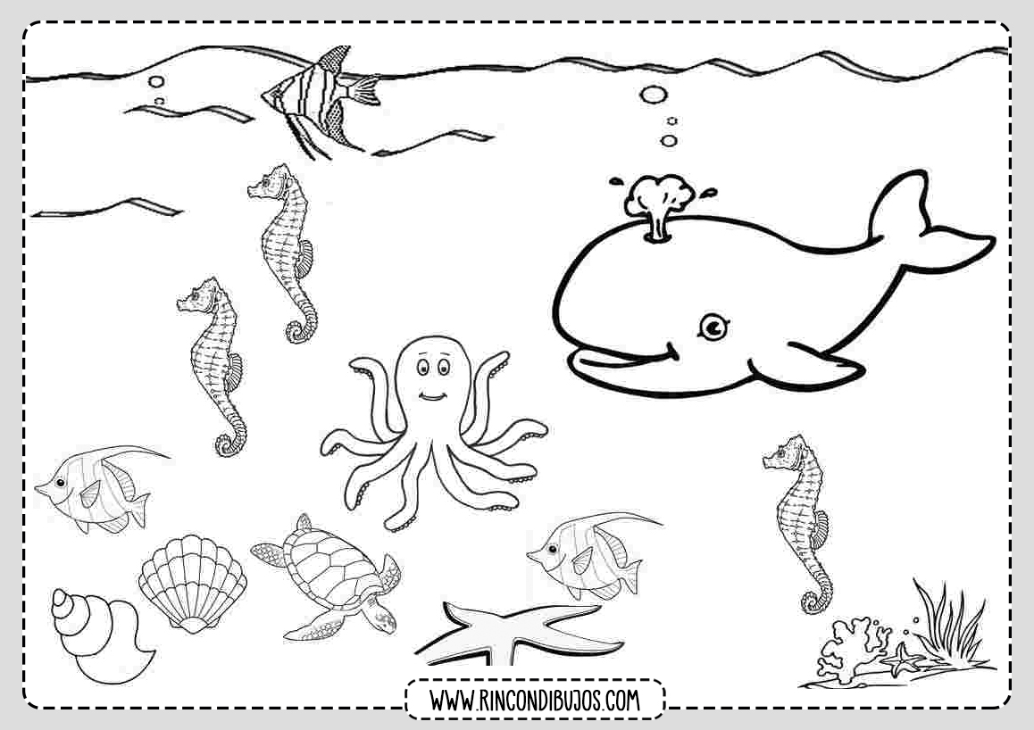 Dibujo de Los Animales del Mar