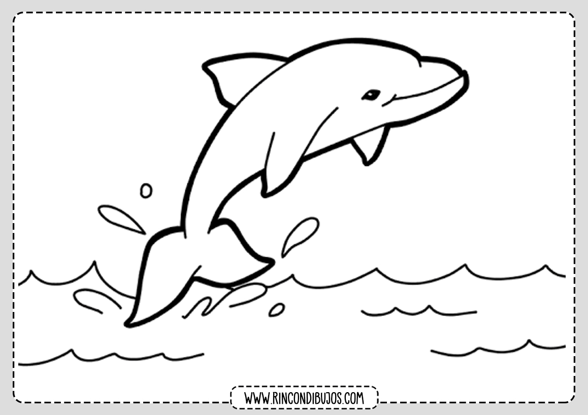 Dibujos Delfines Para Pintar