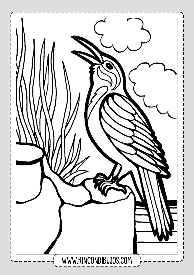 Dibujos Para Colorear Pajaros