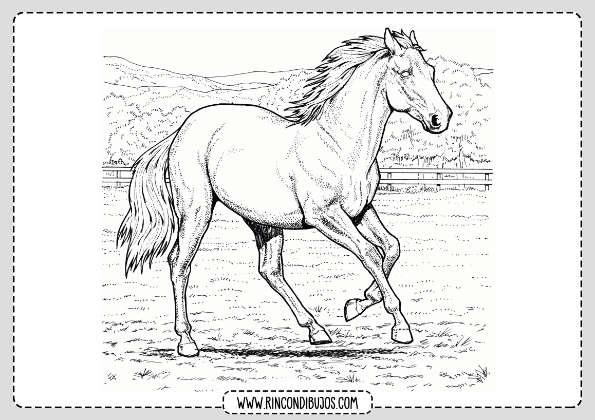 Dibujos Para Colorear de Caballos