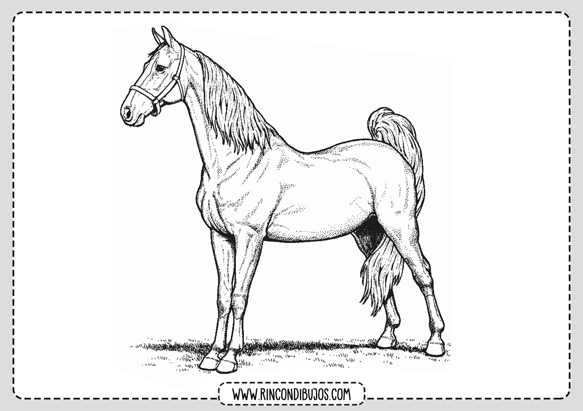 Dibujos Para Colorear Caballos Realistas