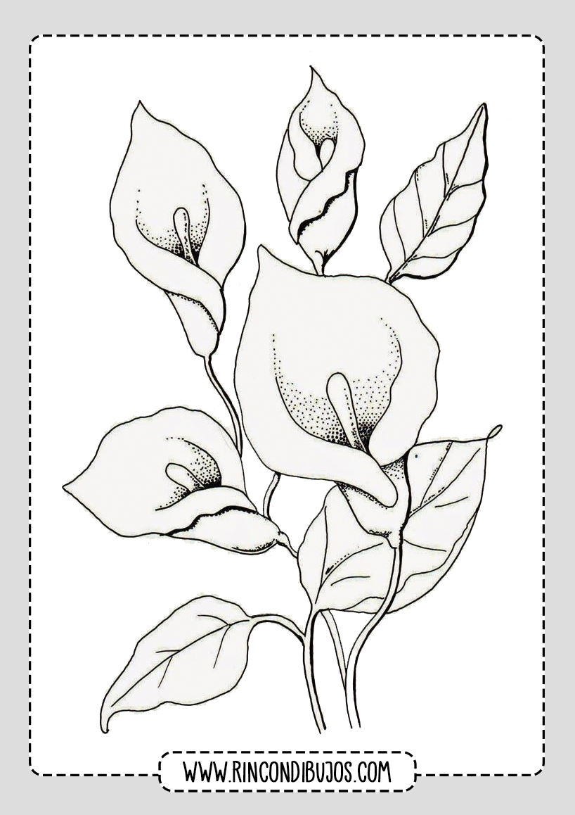 Dibujos de Flores para colorear | Rincon Dibujos Laminas para Colorear
