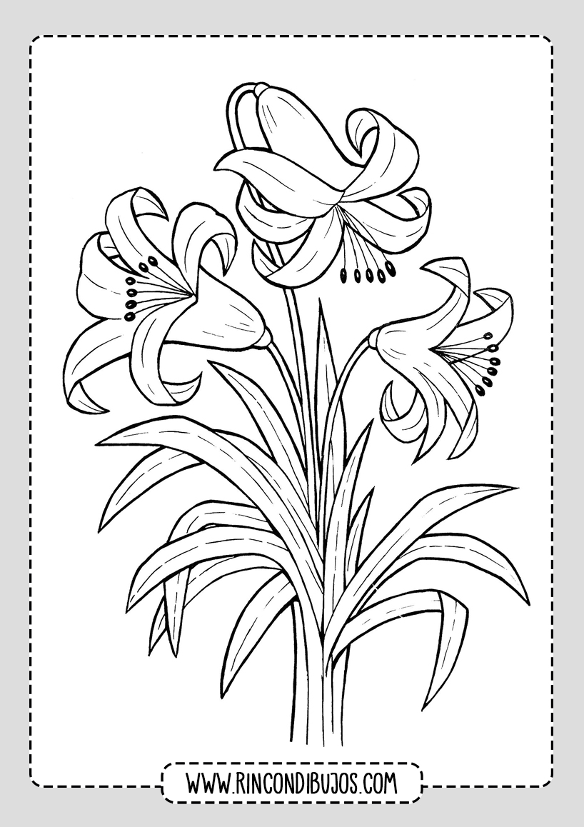 Dibujos de Flores para Pintar