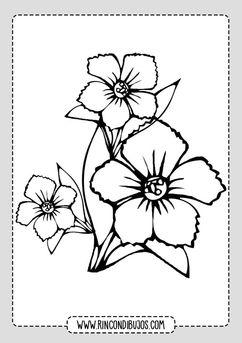 Dibujos de Flores para colorear