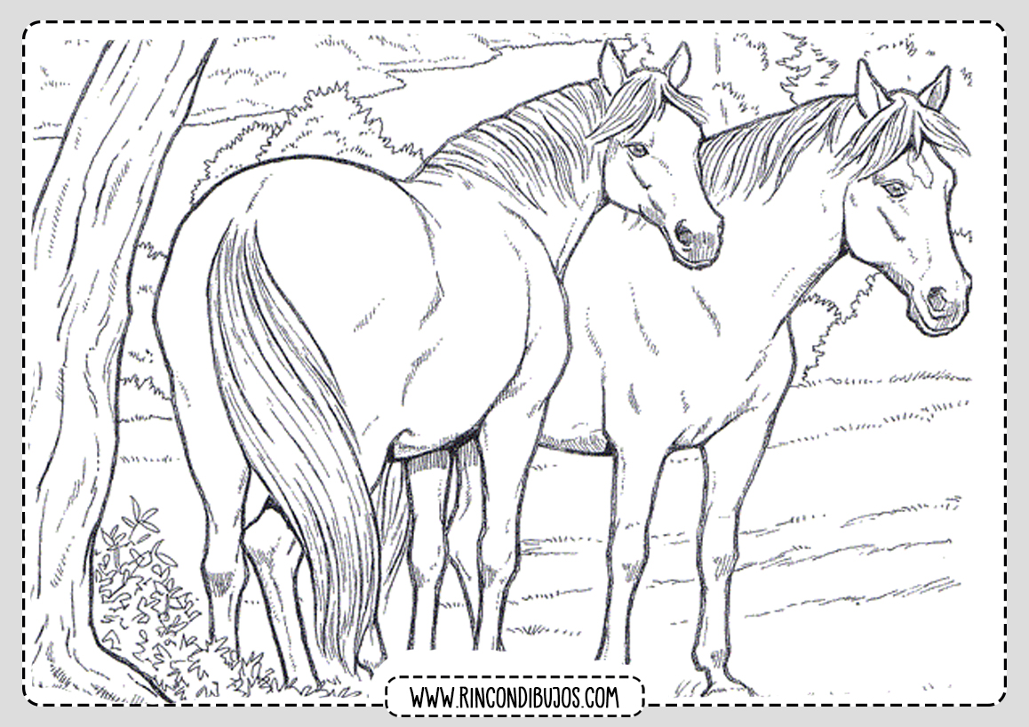 Dibujos de caballos Colorear pintar