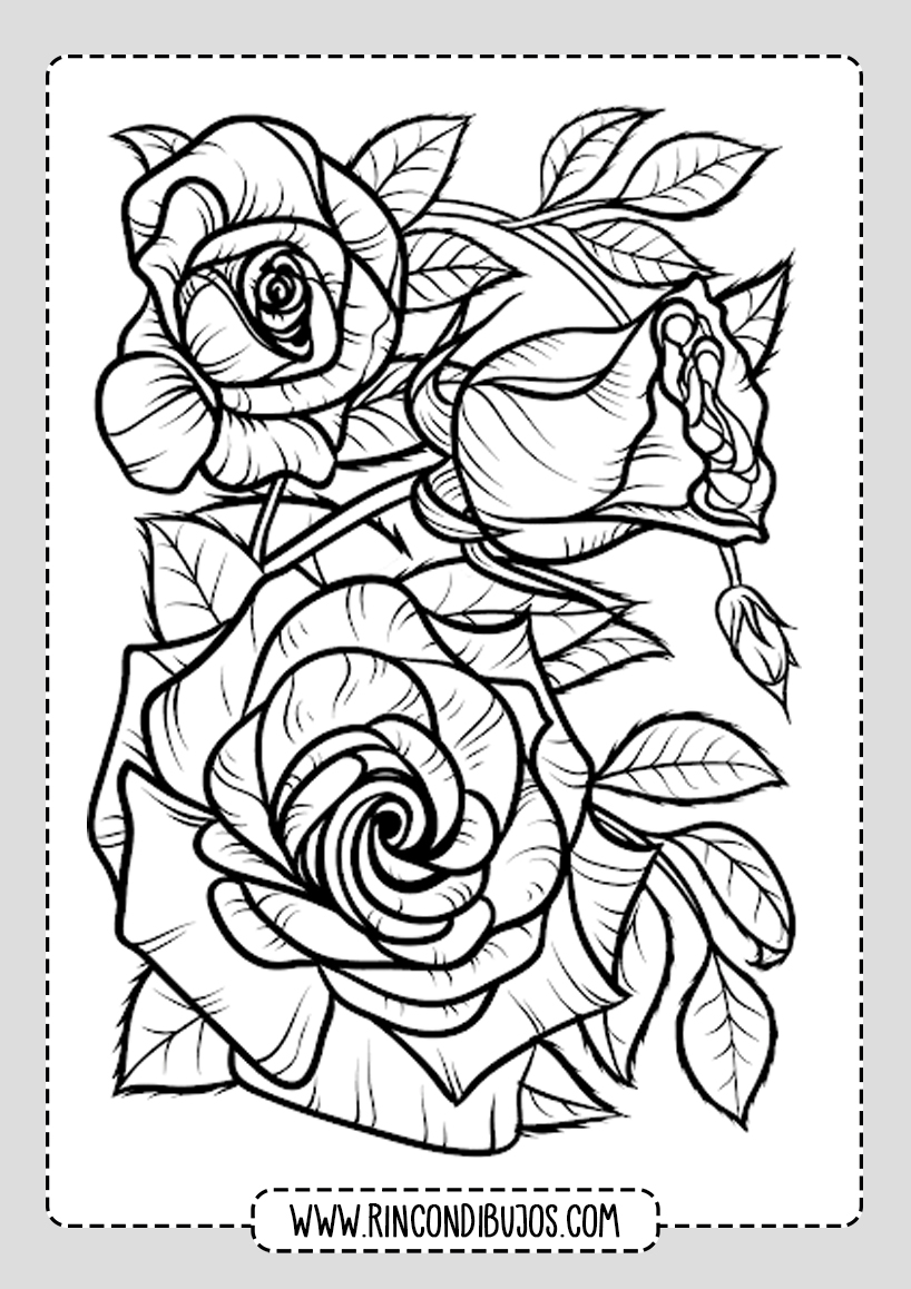 Laminas para colorear Rosas