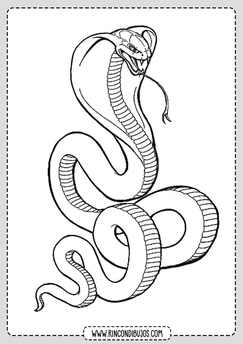 Serpiente Cobra Dibujo