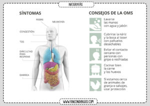 Sintomas del Coronavirus