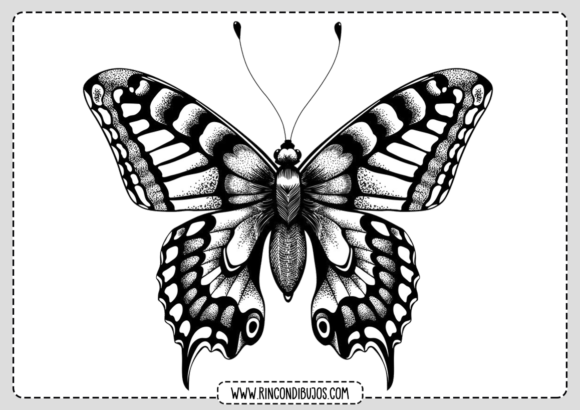 Bonito Dibujo Mariposa para Colorear