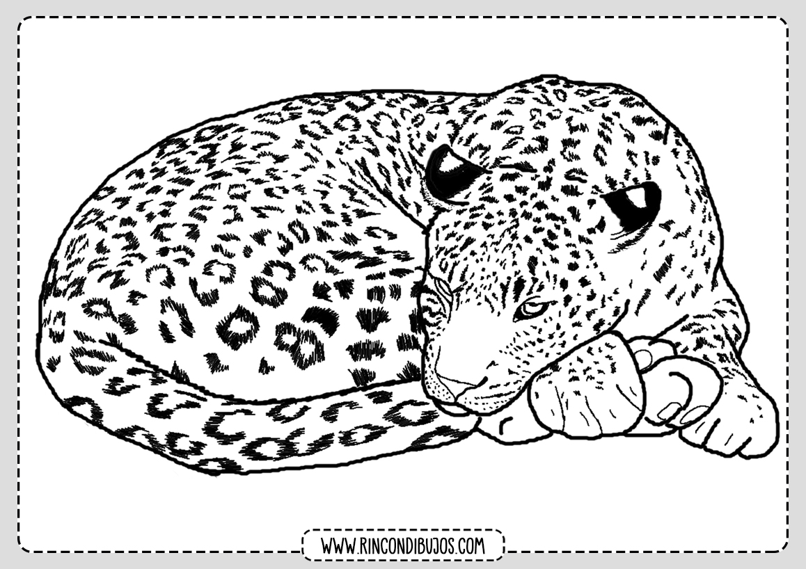 Colorear Dibujos de Leopardo