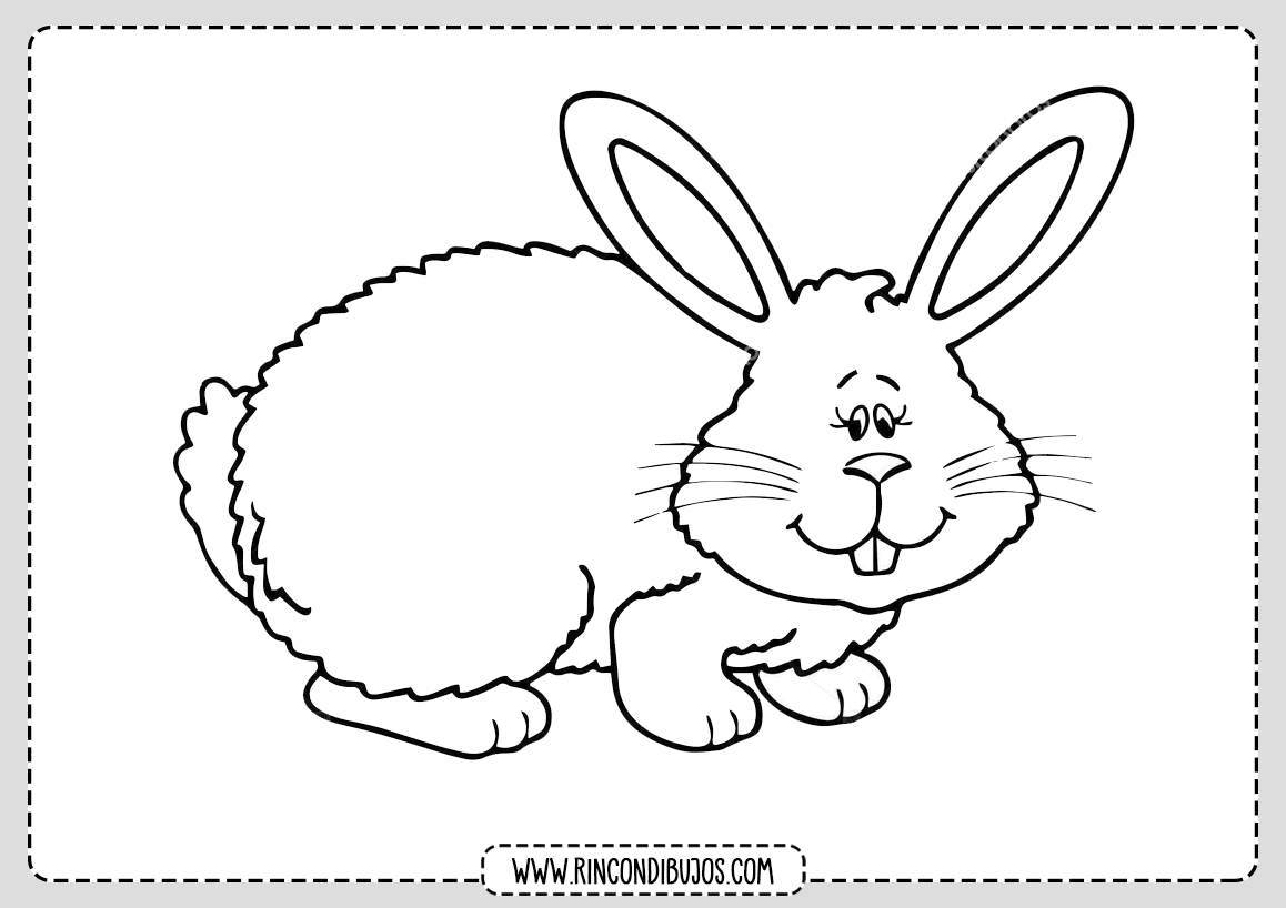 Como dibujar un Conejo
