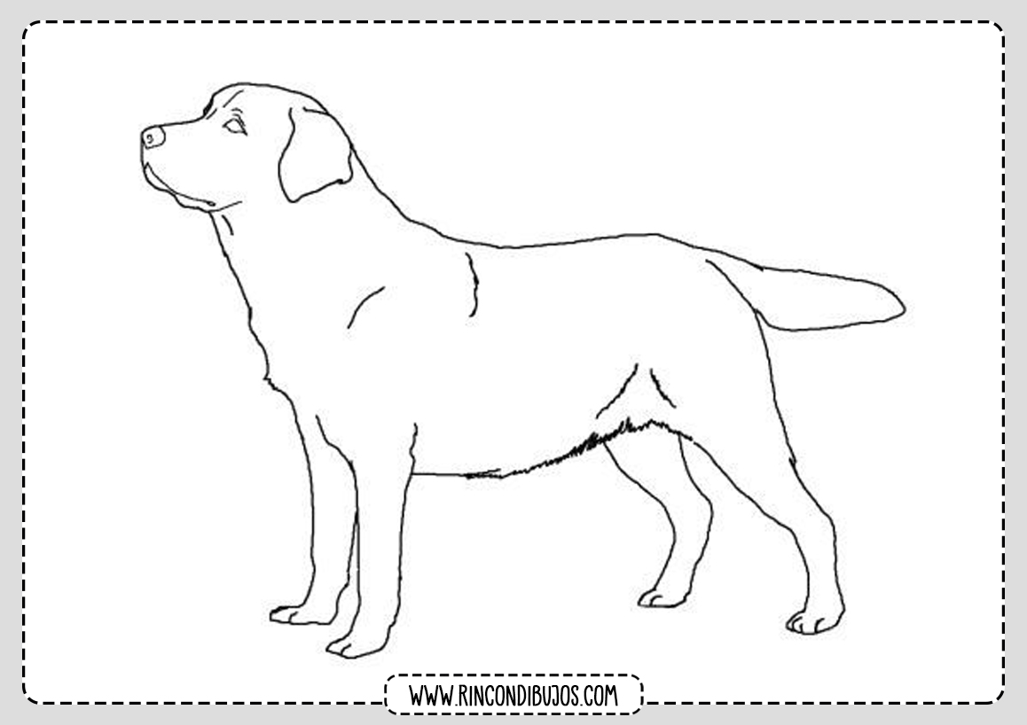Dibujar un perro y colorear