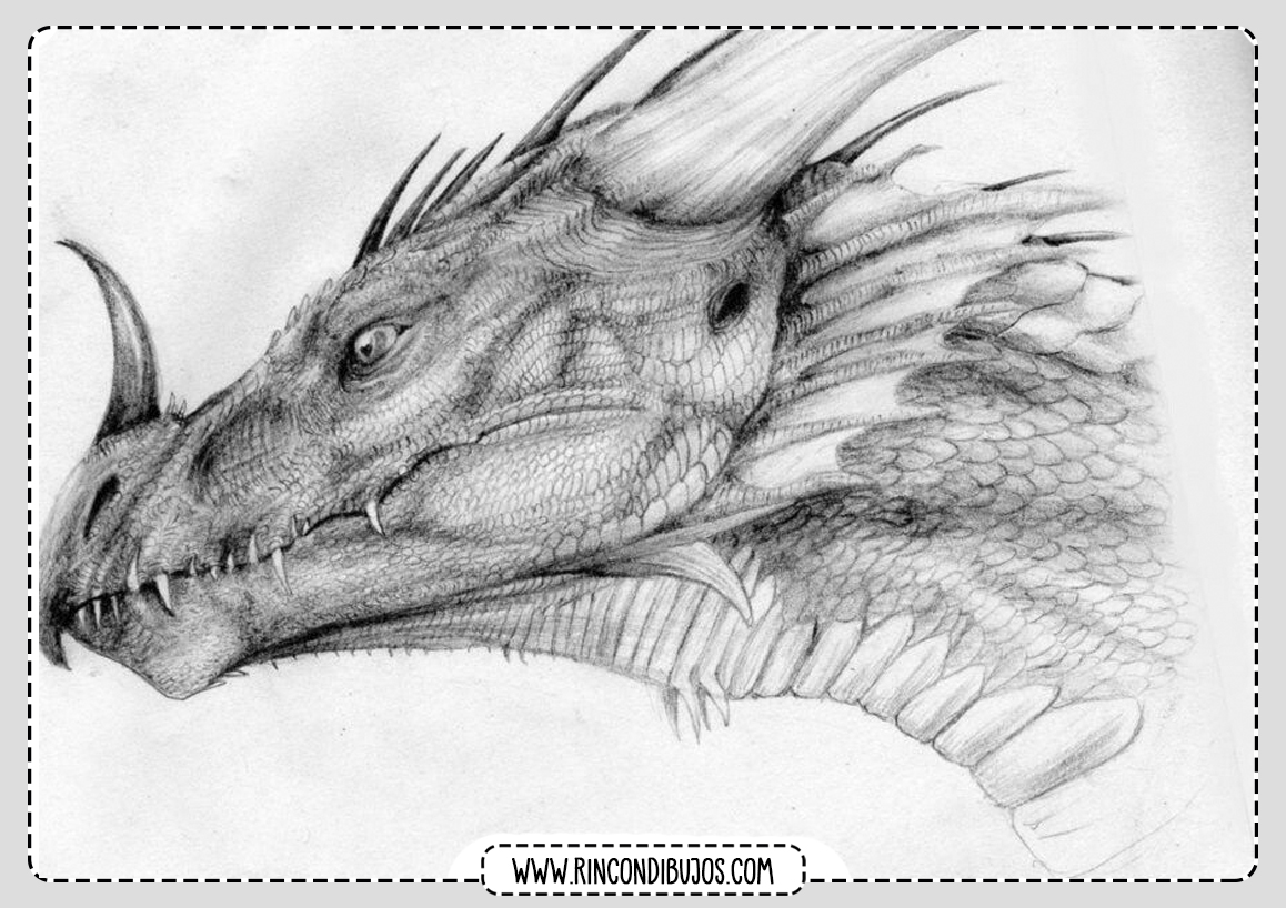 Dibujo Cabeza de Dragon para Colorear