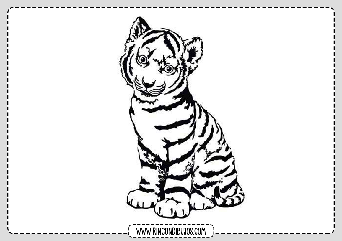 Dibujo Cachorro Tigre Colorear