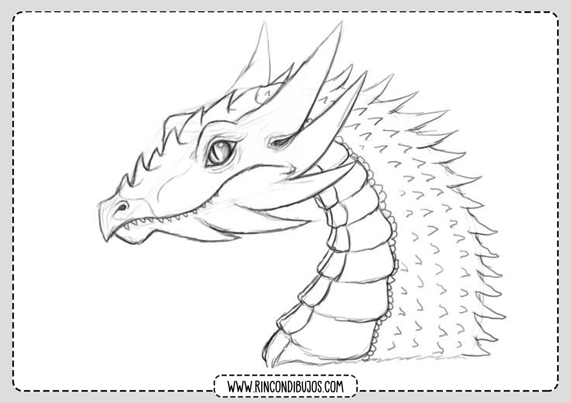 Dibujo Dragon Bonito para colorear