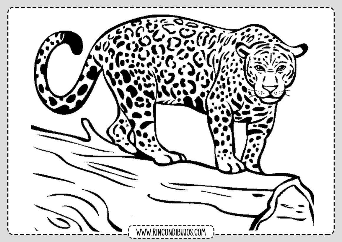 Dibujo Leopardo Pintar