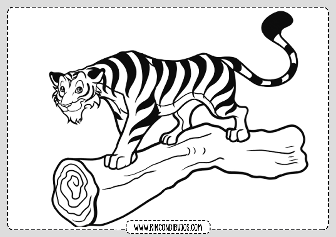 Dibujo Tigre Colorear