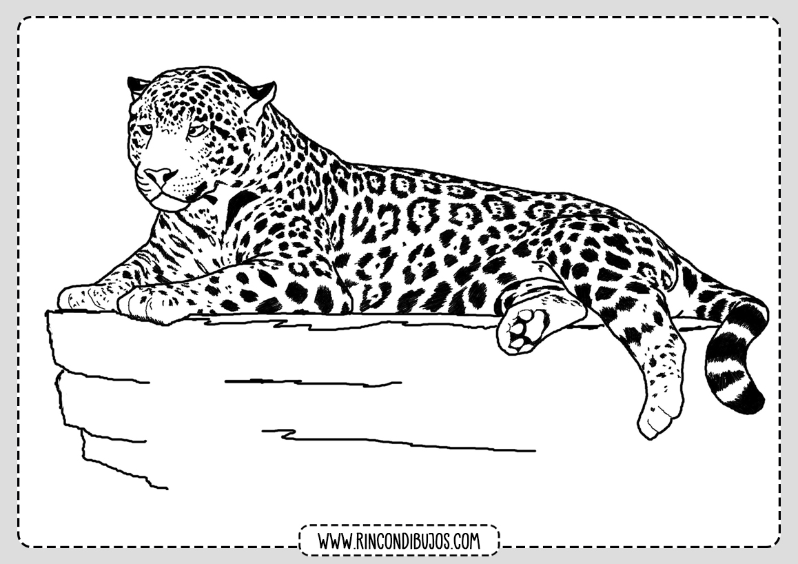 Dibujo de Leopardo facil para colorear