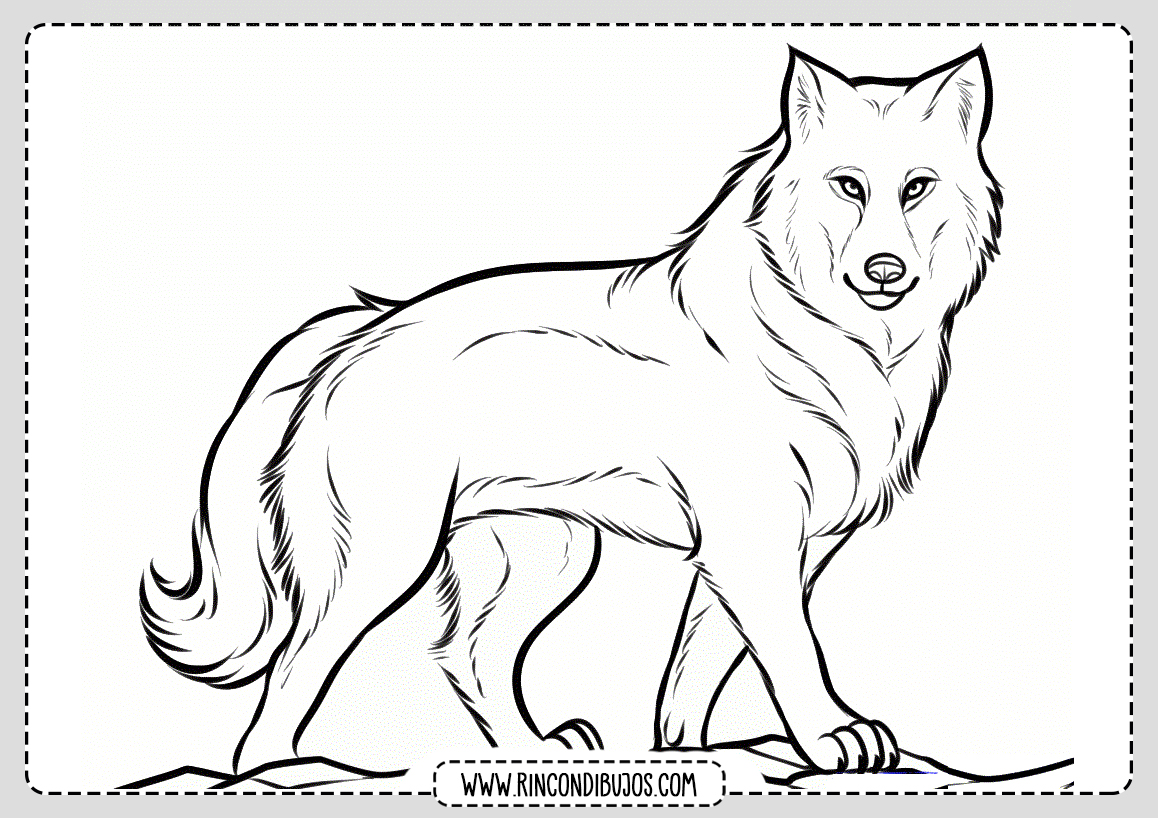 Dibujos de Lobos para colorear | Láminas Gratis de Lobos