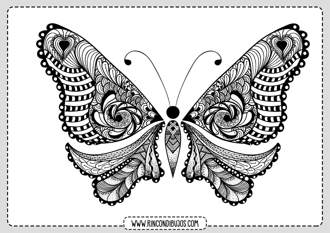 Dibujo de Mariposa Colorear