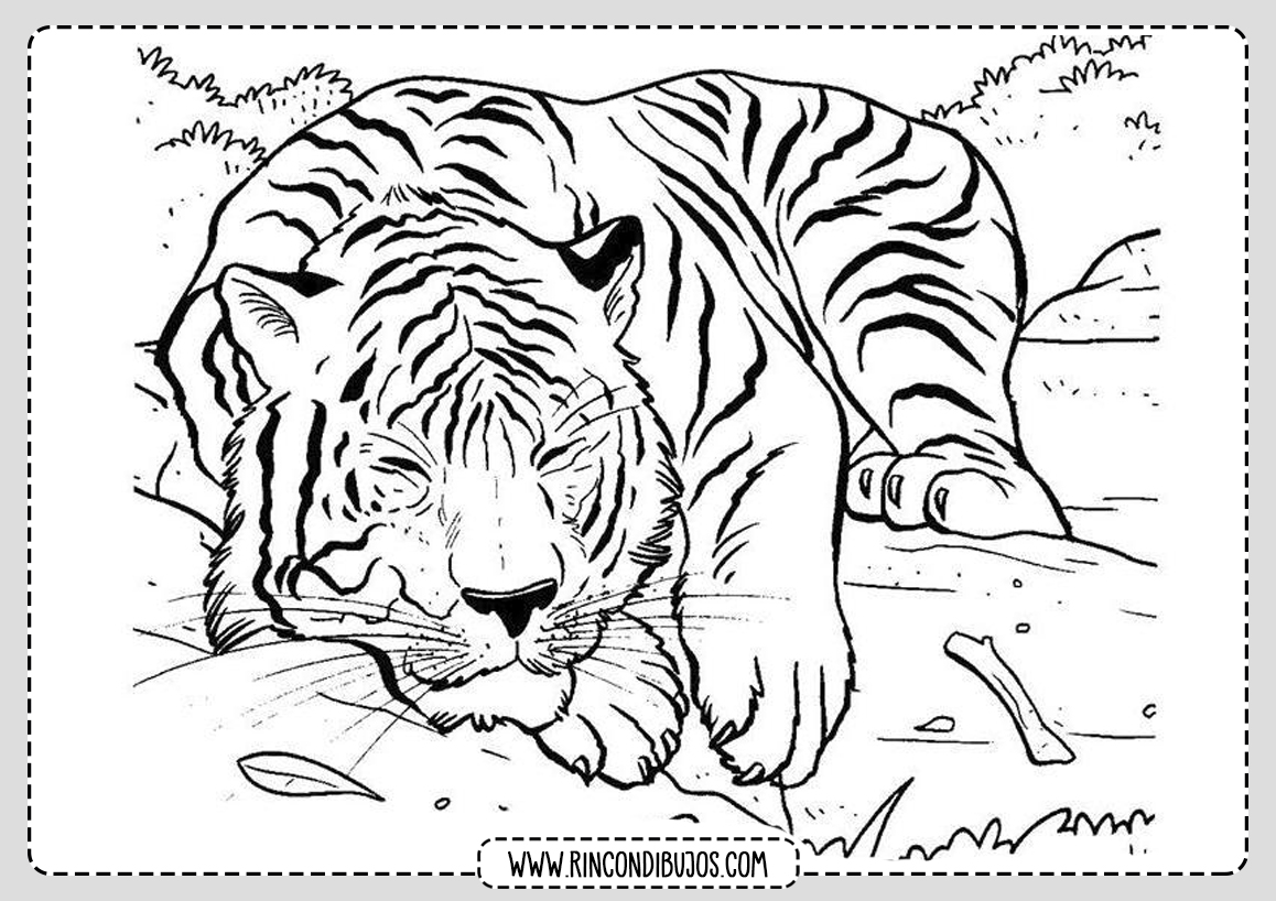 Dibujo de Tigre para imprimir y colorear