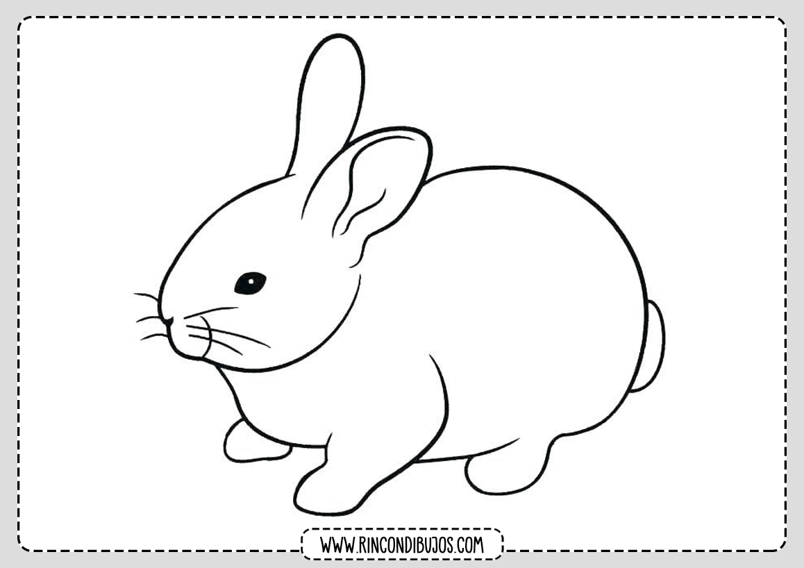 Dibujo de conejo para Colorear y Pintar