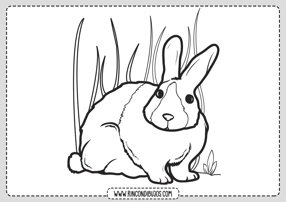 Dibujos de Conejos Colorear
