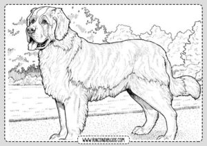 Dibujos de perros para pintar y colorear