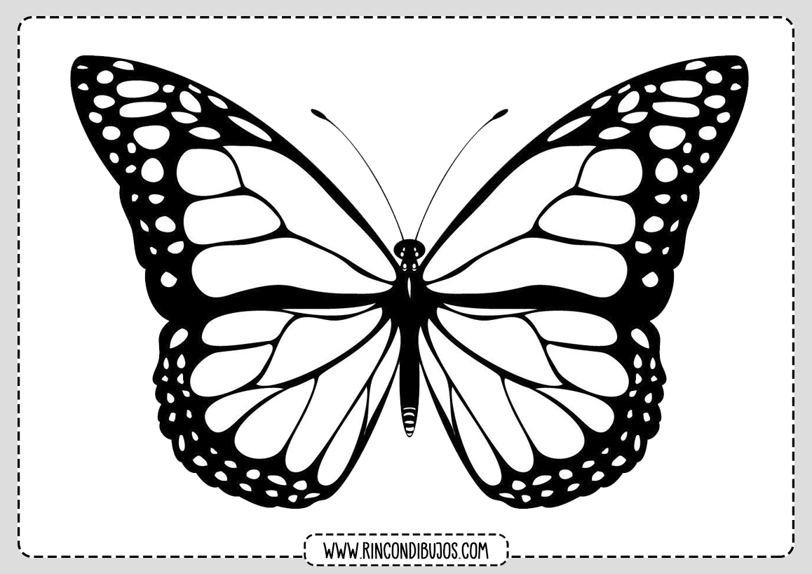 Mariposa Colorear