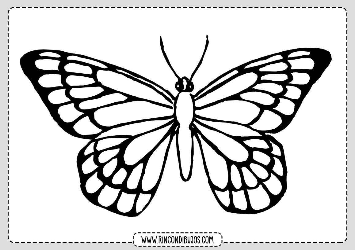Mariposa para Colorear Dibujo