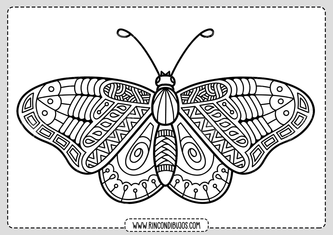 Mariposas Mandala