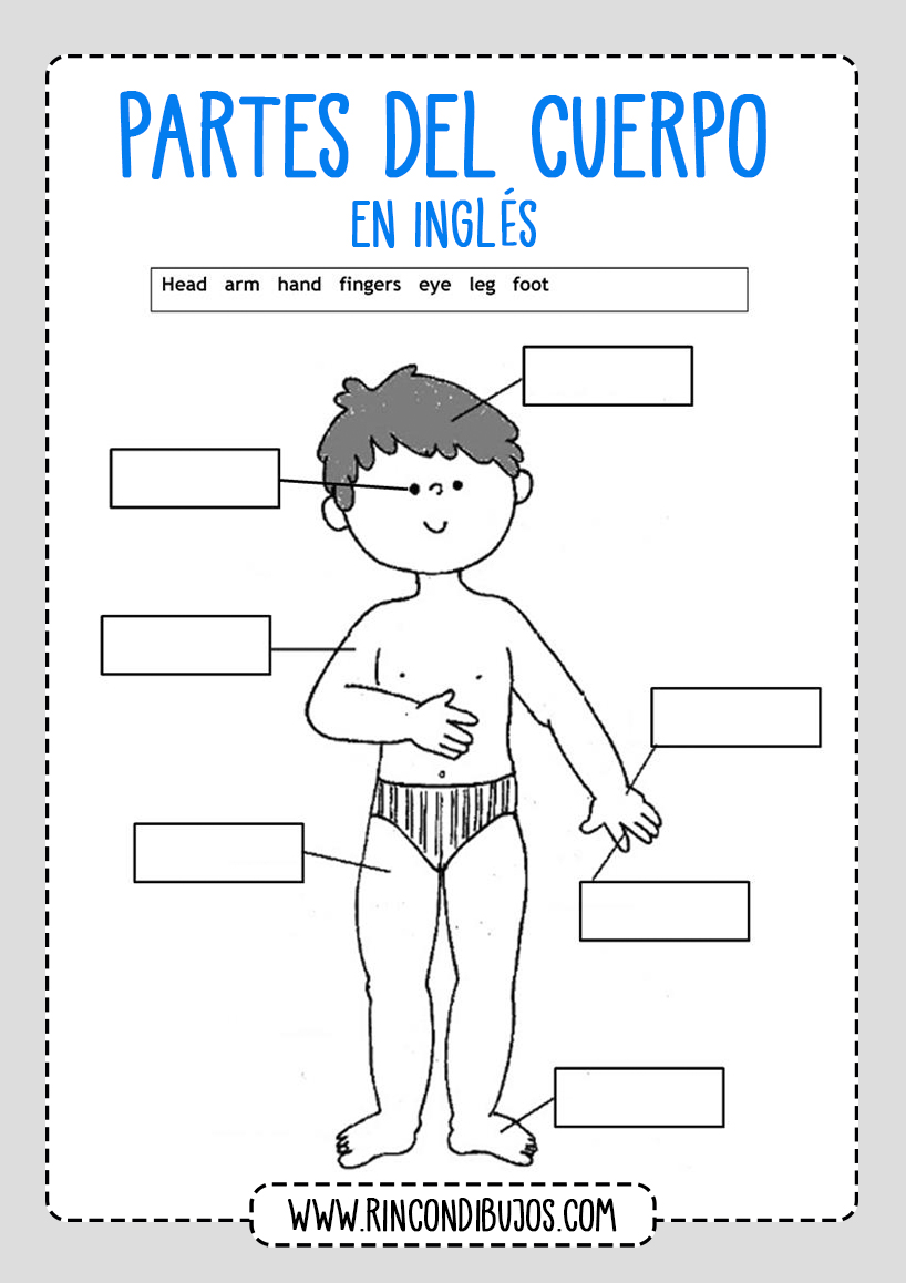 Completar Partes del Cuerpo en Ingles