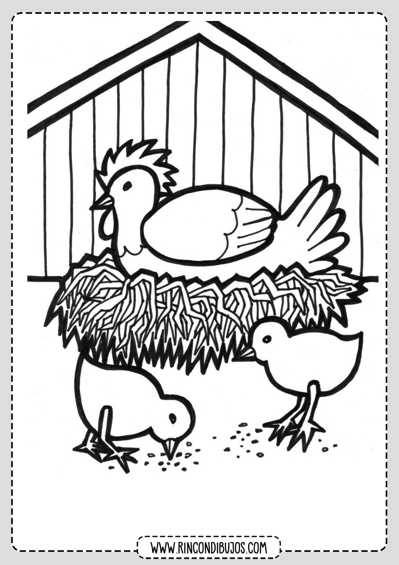 Dibujo Gallina para colorear