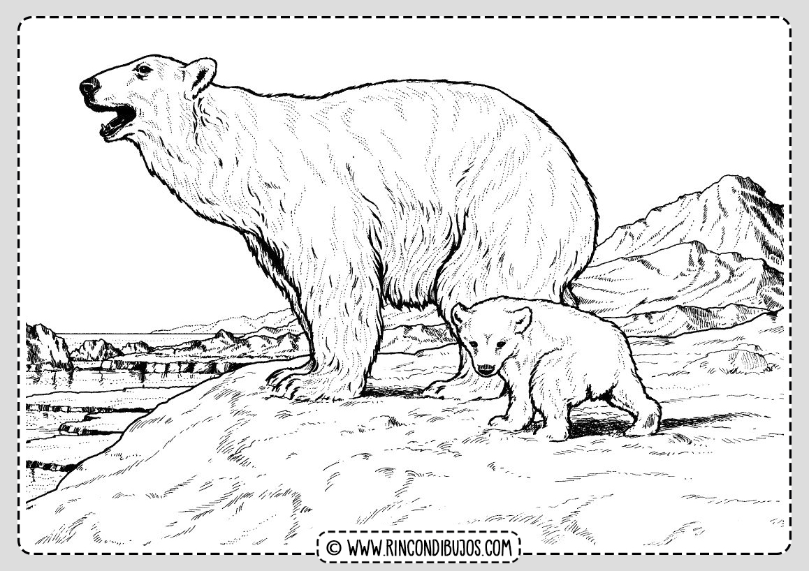 Dibujo Oso Polar Colorear Imprimir