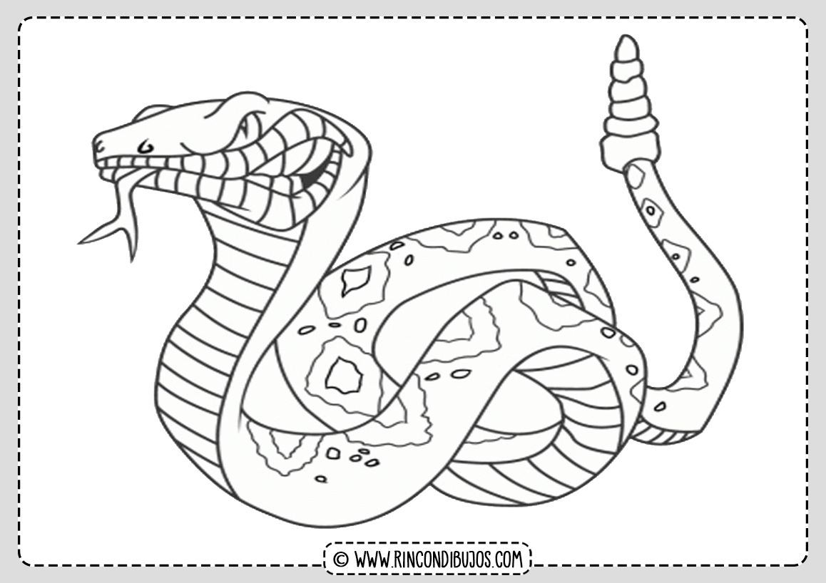 Dibujo Serpiente Cobra