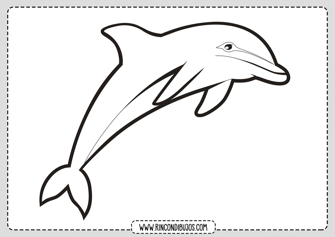 Dibujos de Delfines para colorear | Rincon Dibujos