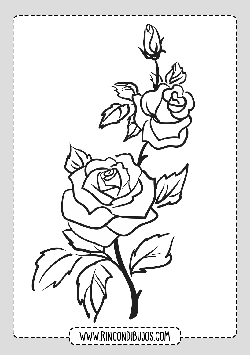 Dibujos de Rosas para pintar y colorear