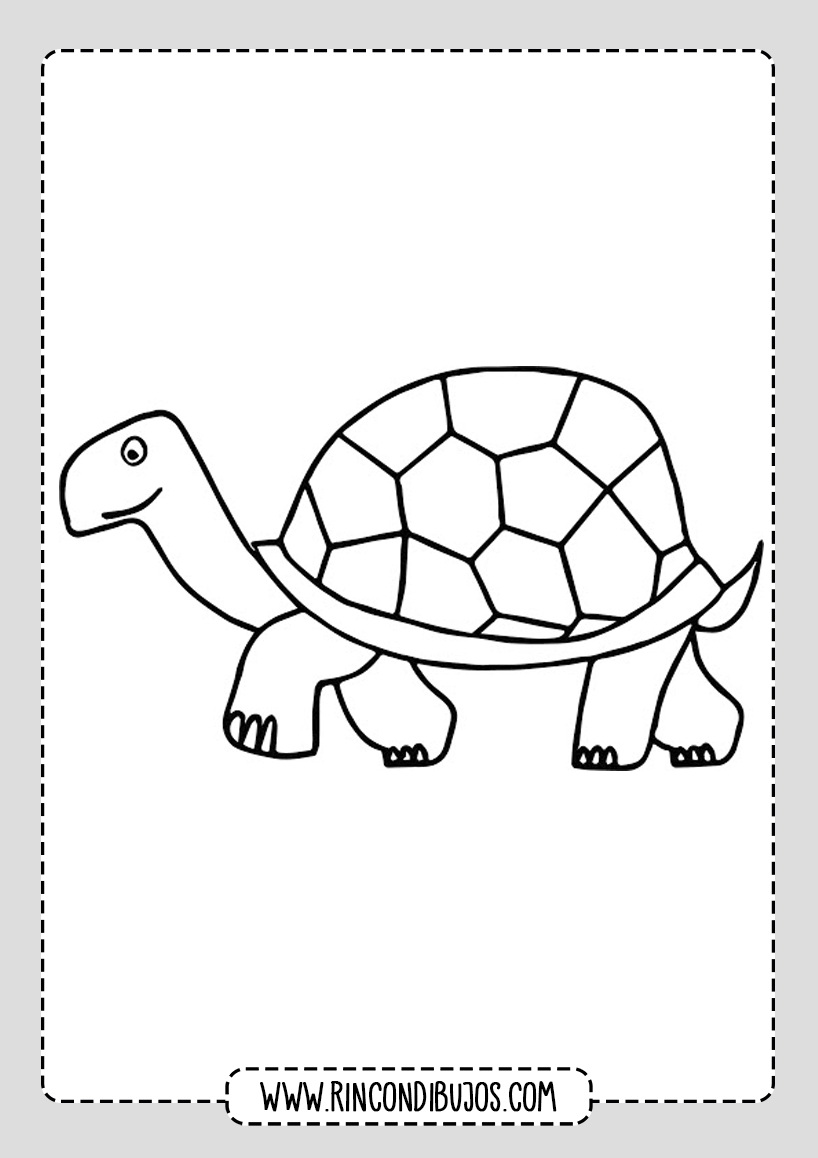 Dibujos de Tortugas para colorear Gratis