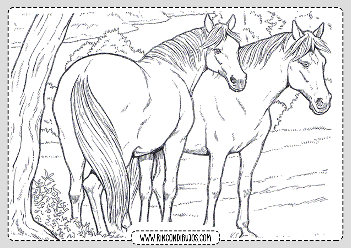 Dibujos De Caballos Colorear Pintar Rincon Dibujos