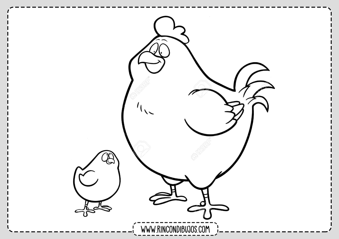 Gallina y Pollito para colorear