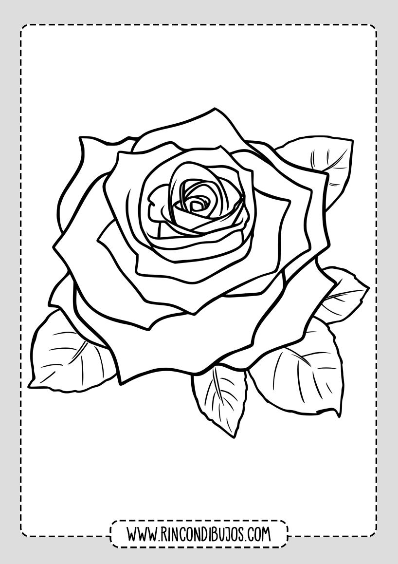 Imprimir Dibujos de Rosas Colorear