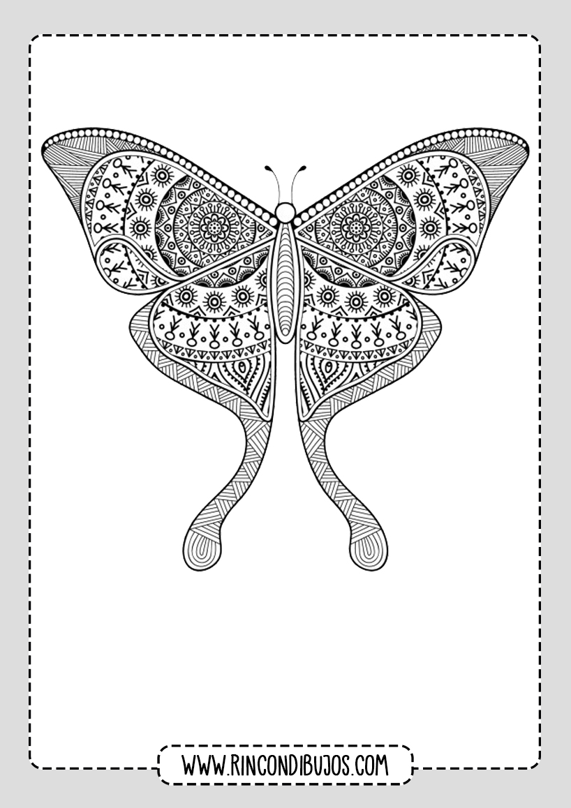 Mariposa Mandala Para Colorear