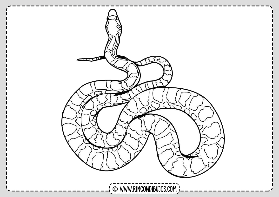 Plantilla Serpiente Dibujos