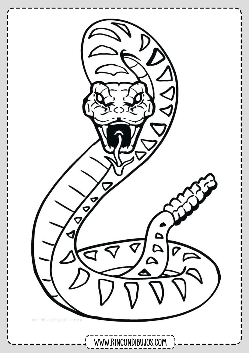 Serpiente Cascabel Para Colorear