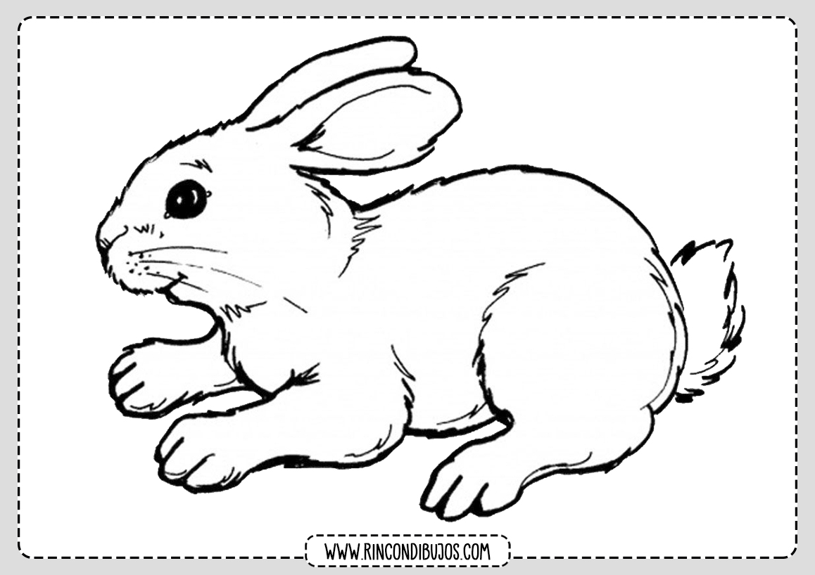 Colorear Fichas Dibujo de conejo
