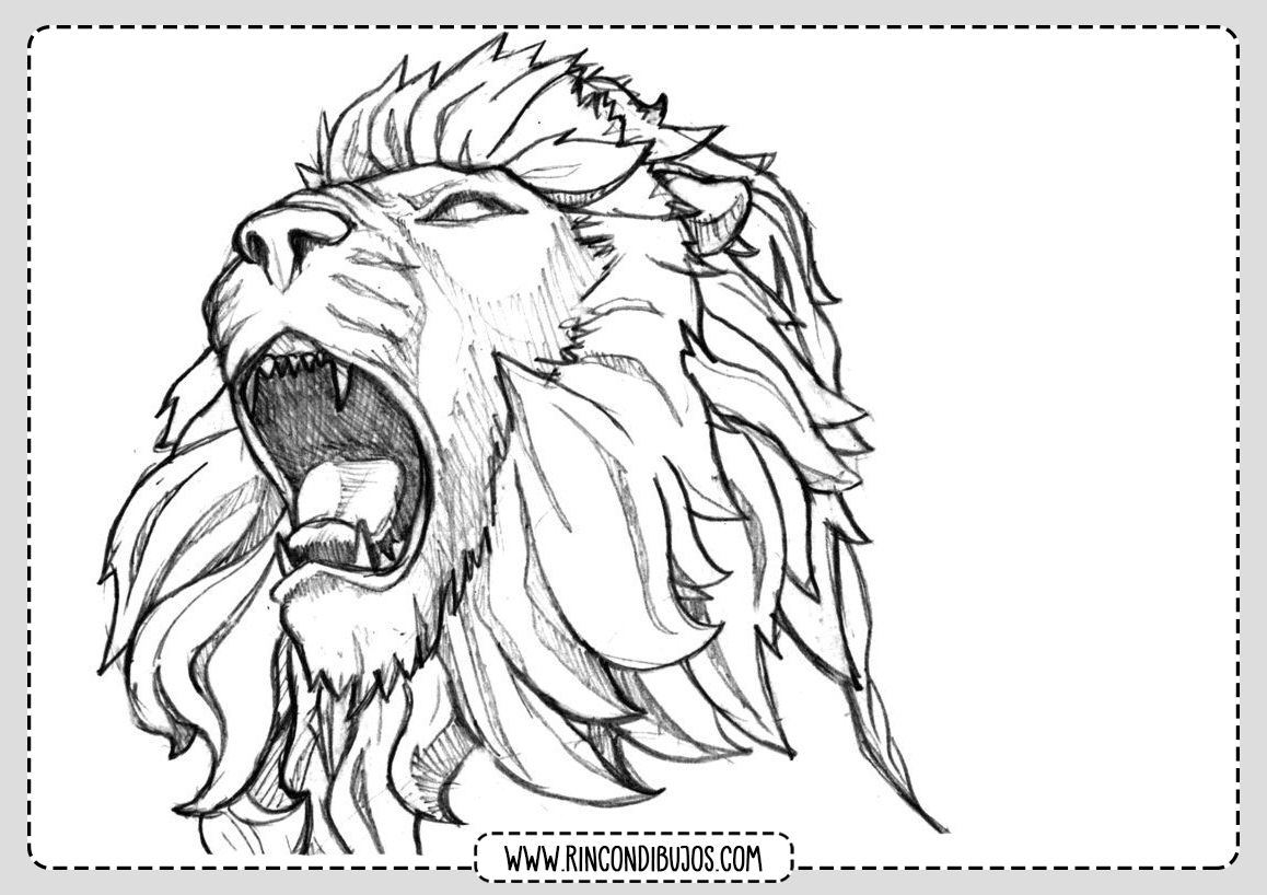 Dibujos de Leones para colorear | Leon y Leona de la sabana